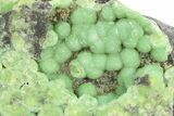 Sparkly Botryoidal Green Wavellite Formation - Arkansas #280738-1